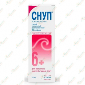 Снуп спрей 90мкг/доза 15мл спрей 6+